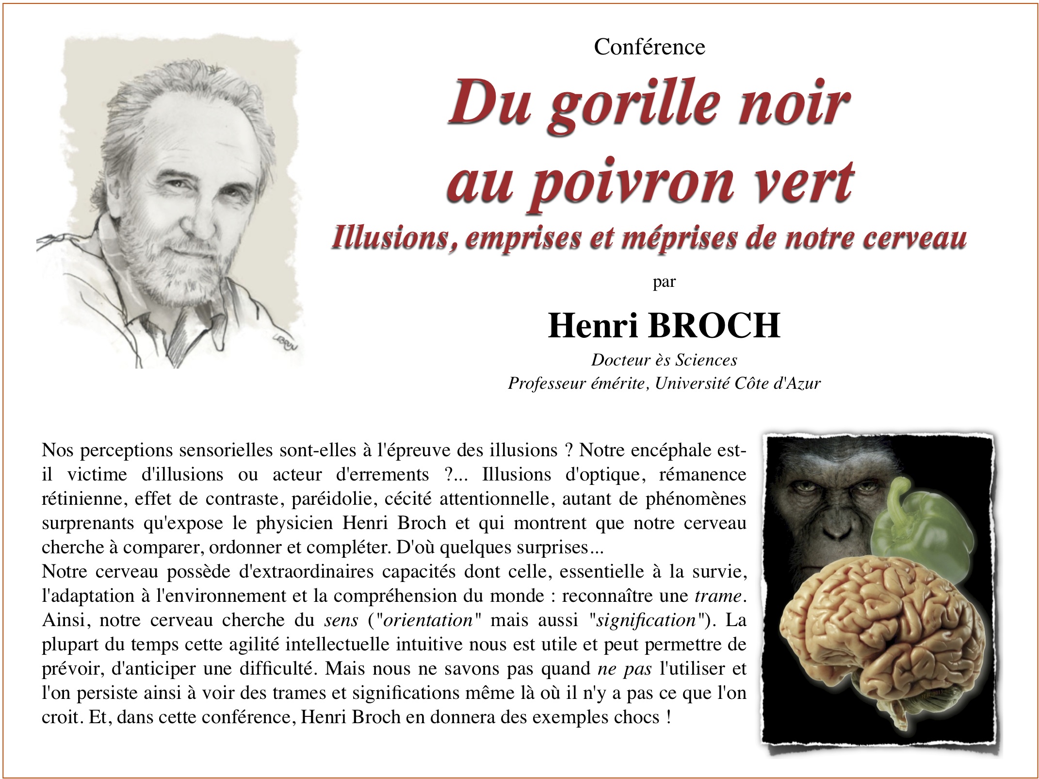 H.Broch-Gorille-noir-Poivron-vert H.Broch-Gorille-noir-Poivron-vert