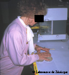 dfi