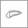 PISCES AUSTRINUS