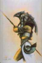 garde  tte de faucon